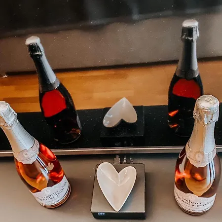 Oasis Of Energy Apartment Ljubljana